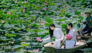 Đường vào đầm sen hoa nở bạt ngàn ở Nha Trang