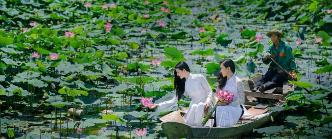 Đường vào đầm sen hoa nở bạt ngàn ở Nha Trang