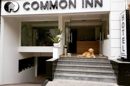 Khách sạn Common Inn Sài Gòn