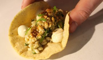 6 món ăn vừa lạ, vừa ngon của người Mexico nhưng nhiều người lại ái ngại không dám thử