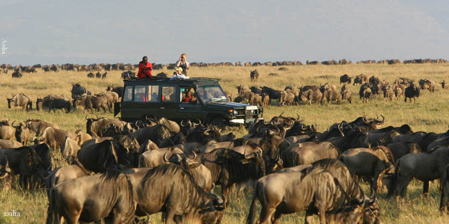Kenya (Safari Express)