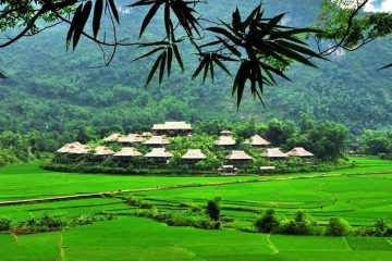 2N1Đ ở khách sạn Mai Châu Lodge Hòa Bình + Bữa sáng chỉ với 699.000 đồng/Khách